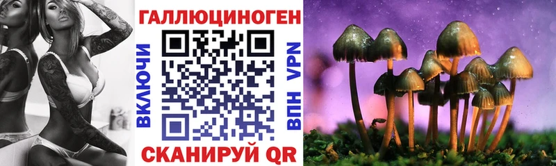 Галлюциногенные грибы Cubensis  shop официальный сайт  Яранск  цены наркотик 