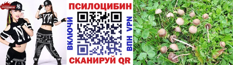 Псилоцибиновые грибы Psilocybe Яранск